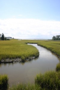 Water views from the Pier