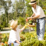 FP Gardening