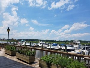 13692151_1224779400889024_955807264_o