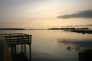 ORIGINAL_morningshotlores