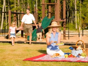 henley_playground_picnic_web