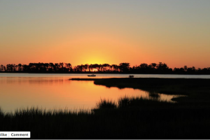 Jeannie Landis Sunset Lores