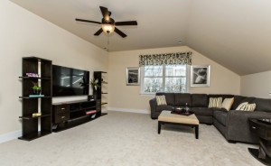 Media Room/Game Room