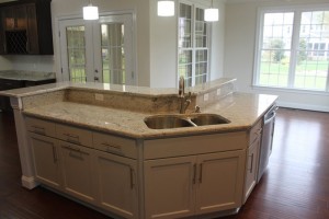 Carlesi Construction at Founders Pointe