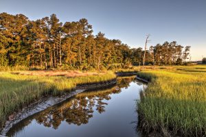 Lot 294 Ships Landing