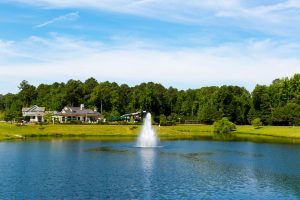 Trail Surrounds The Lake