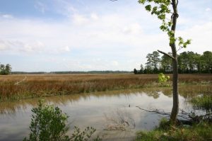 Lot 165 Carters Creek