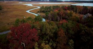 Lot 165 Carters Creek Tree Top View