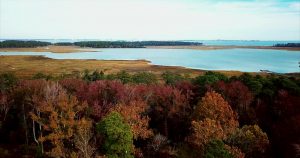 Lot 185 Backyard View