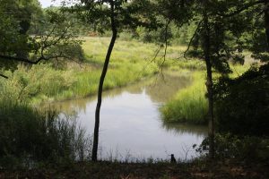 Carters Creek Borders Patriots Ridge Lot 131